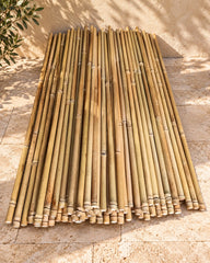 Natural Bamboo Poles & Garden Sticks in Dubai | Plants House