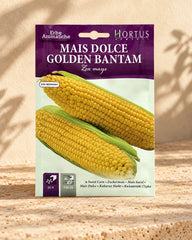 Golden BantamCorn | Seeds