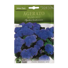 Floss Flower | Seeds