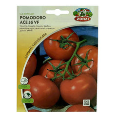 Ace Tomato Seeds plant by Plant House, showing vibrant tomato seedlings and packaging for home gardening.