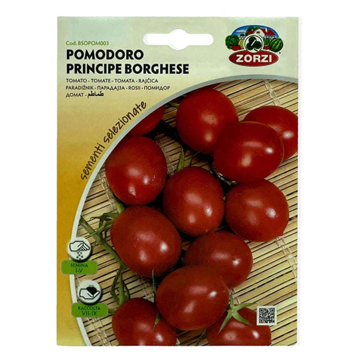 Cherry tomato plant from Plant House, featuring vibrant green foliage and developing cherry tomatoes on the vine.