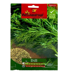 Dill plant with fresh green fronds, grown from Plant House dill seeds, showcasing lush foliage and healthy growth.
