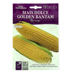 Golden Bantam Corn seeds from Plant House, showing healthy corn plants with tall stalks and lush green leaves.