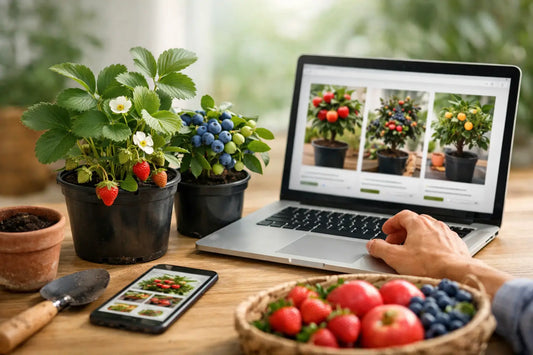 Where to Buy Fruit Plants Online Smartly