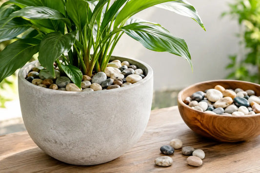 Decorative Pebbles for Planters: How to Use Them