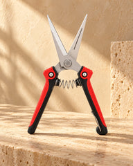 Single Garden Shear