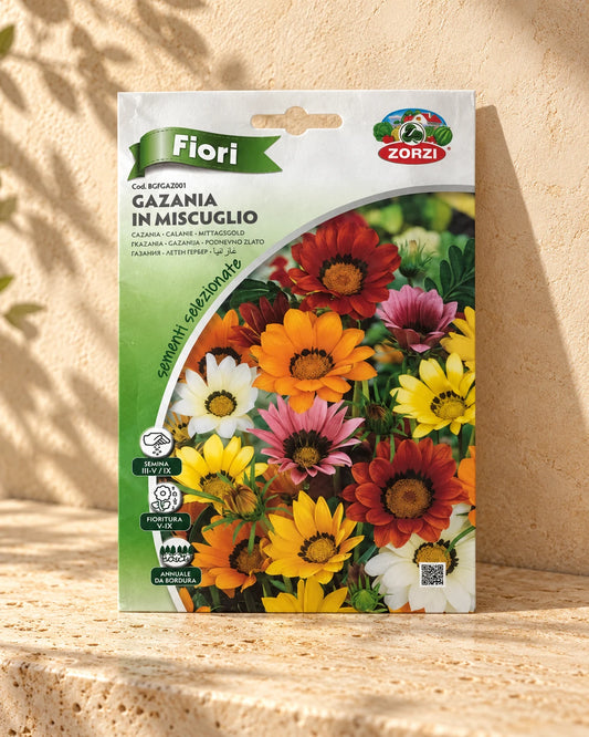 Gazania | Seeds