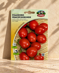 Cherry Tomato | Seeds