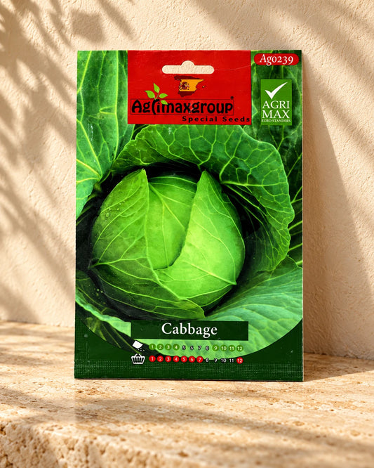 Cabbage | Seeds