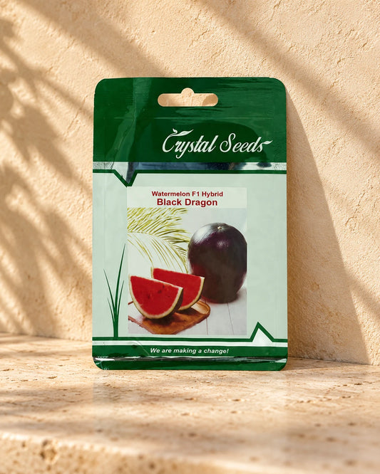 Black Dragon Watermelon | Seeds