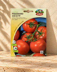 Ace Tomato Seeds