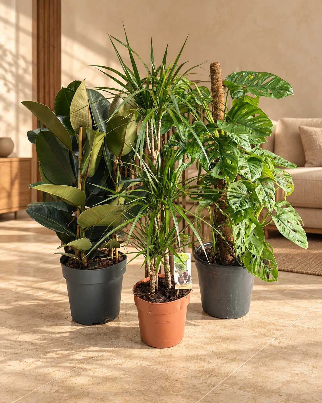 Urban Jungle