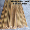 Natural Bamboo Poles & Garden Sticks in Dubai | Plants House