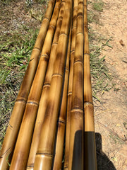 Natural Bamboo Poles & Garden Sticks in Dubai | Plants House