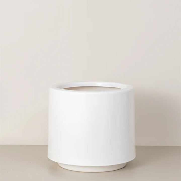 Lily | White