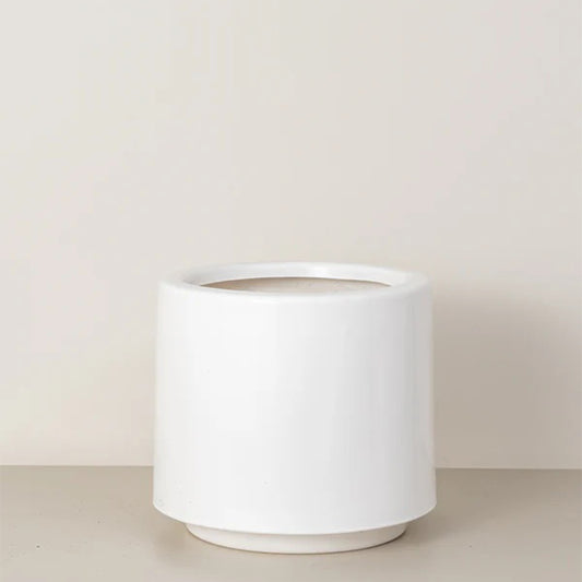 Lily | White
