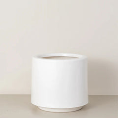 Lily | White
