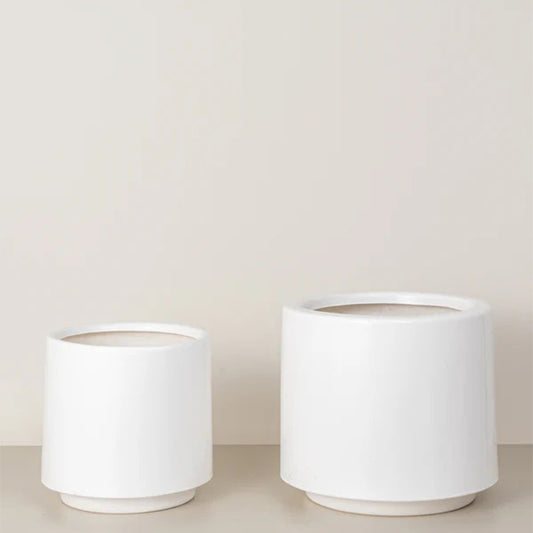 Lily | White