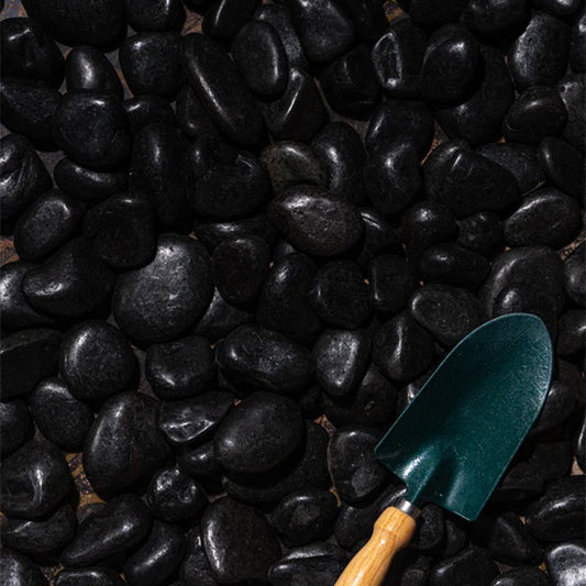 Black pebbles for plants from Plant House, 20kg bag, smooth dark stones ideal for decorative garden or indoor plant arrangements.