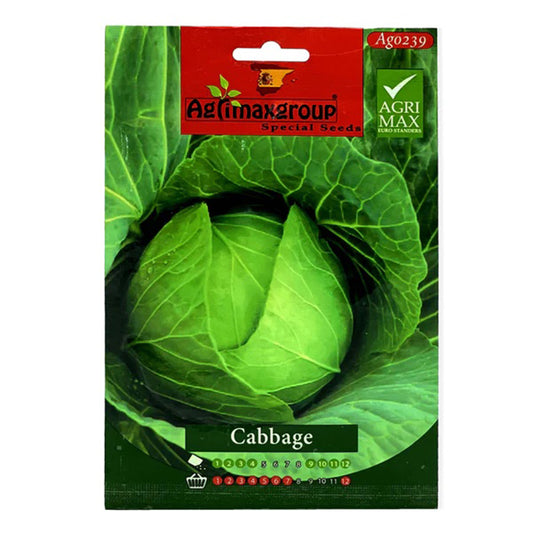 Organic cabbage seeds from Plant House, ready for planting and growing healthy cabbage plants.