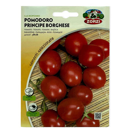 Cherry tomato plant from Plant House, featuring vibrant green foliage and developing cherry tomatoes on the vine.