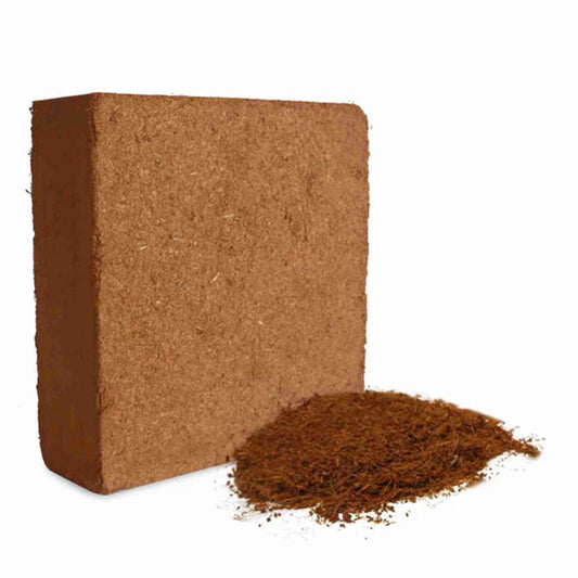 Coco peat slab from Plant House, a compressed coconut coir block ideal for gardening and plant growth applications.