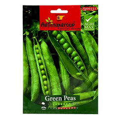 Green peas plant from Plant House seeds, showing lush green foliage and healthy pea pods on a vibrant green plant.