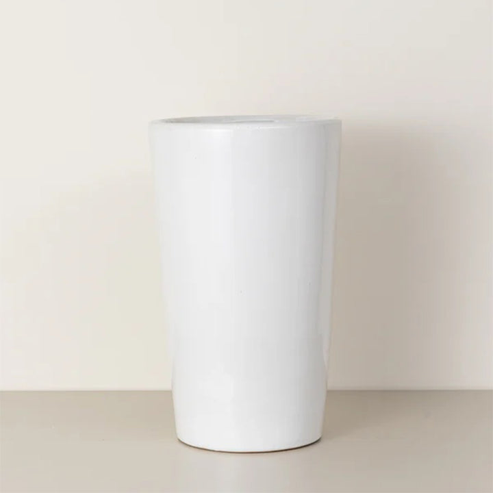 Medium Julie plant from Plant House showing lush green foliage and healthy growth in a decorative pot.
