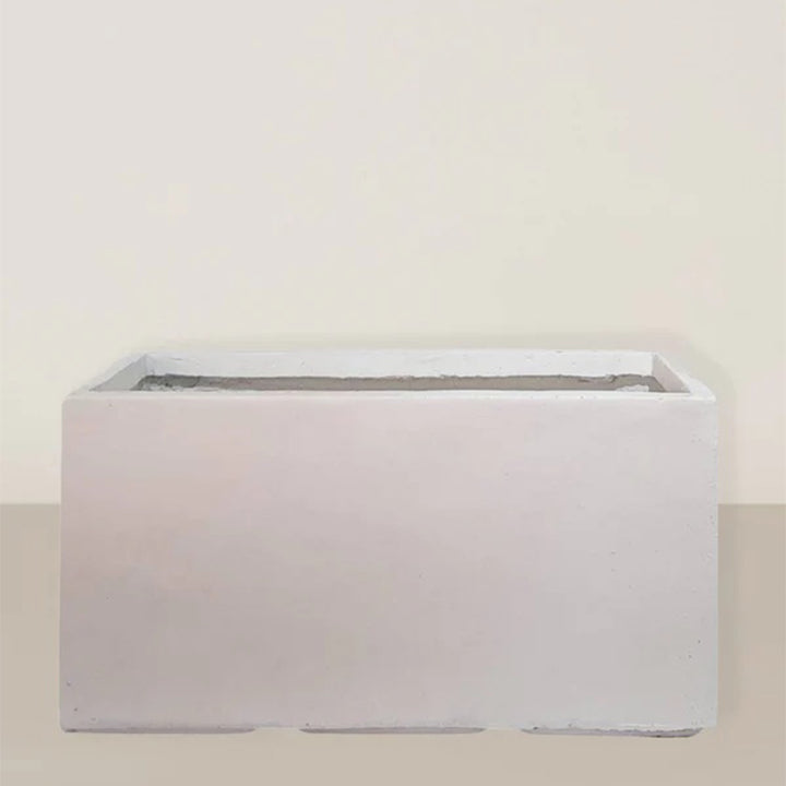 Small rectangular white Plant House pot with a plant, perfect for indoor decoration and greenery.