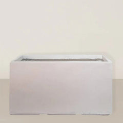 Small rectangular white Plant House pot with a plant, perfect for indoor decoration and greenery.