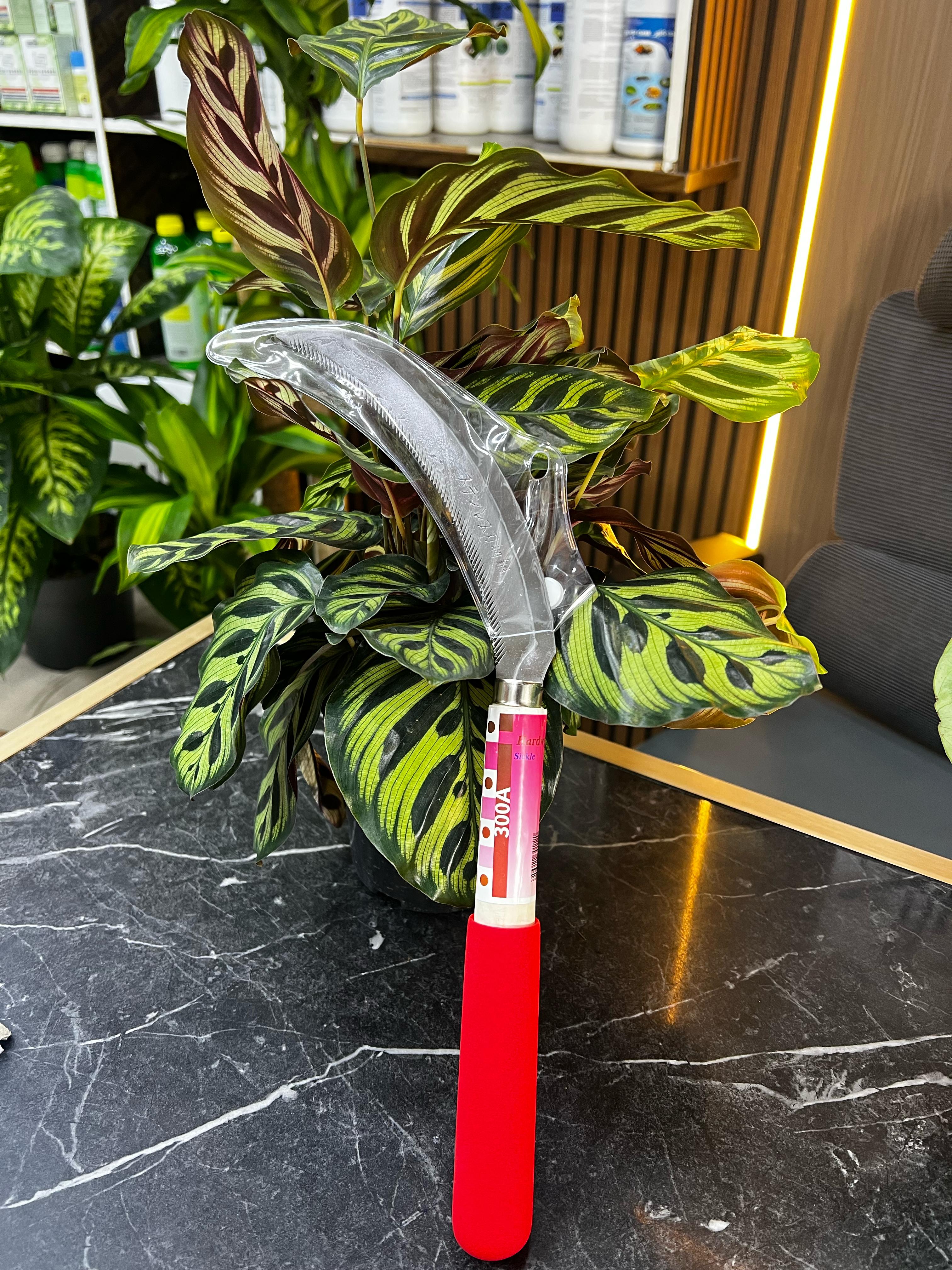 Japanese Garden Sickle by Plant House, traditional hand tool for cutting grass and small plants, with curved blade and wooden handle.